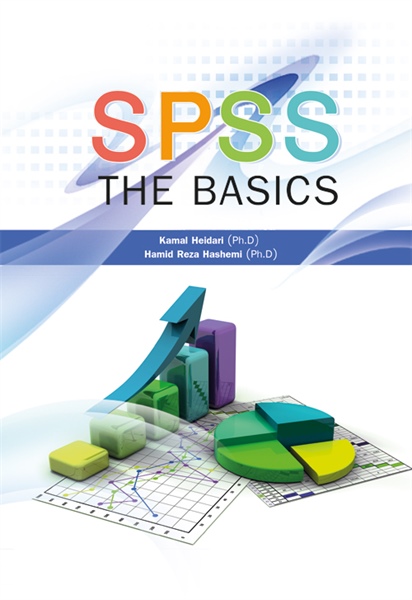 SPSS THE BASICS